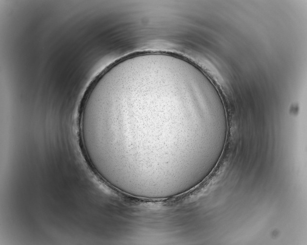 X0000102360990200808151809