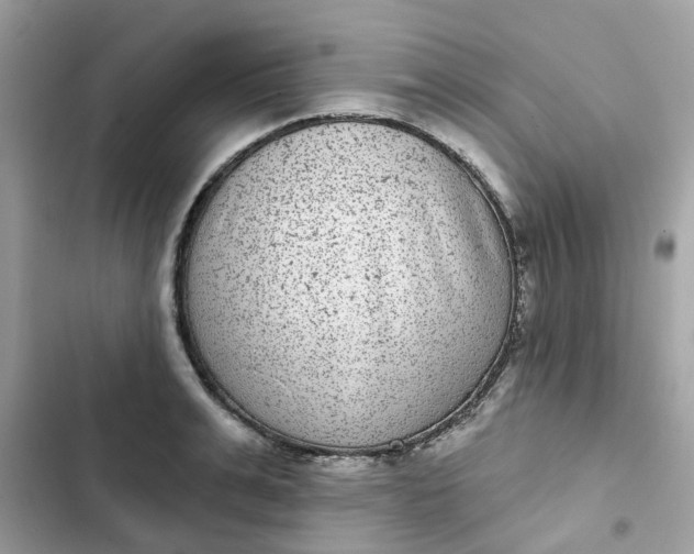 X0000102360991200808151809