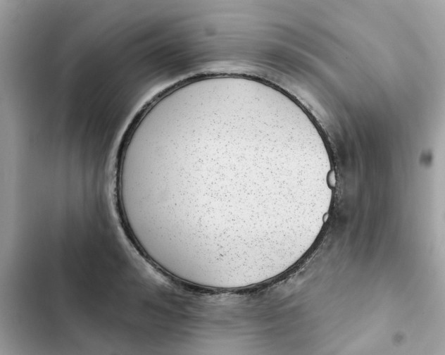 X0000102360992200808151809