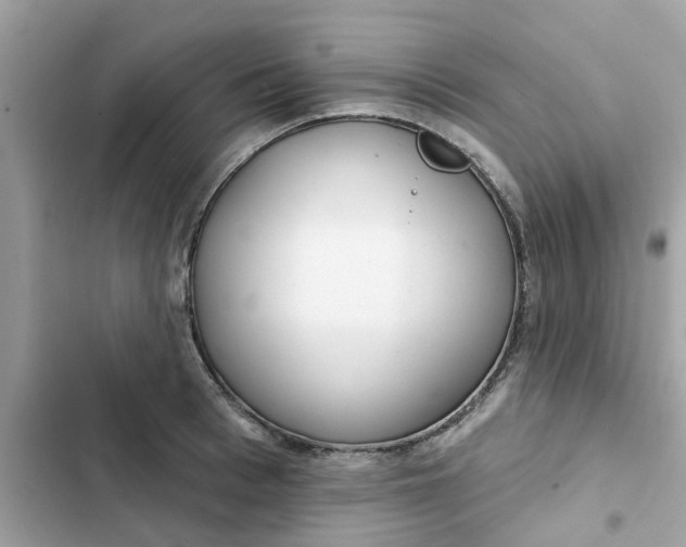 X0000102360993200808151809