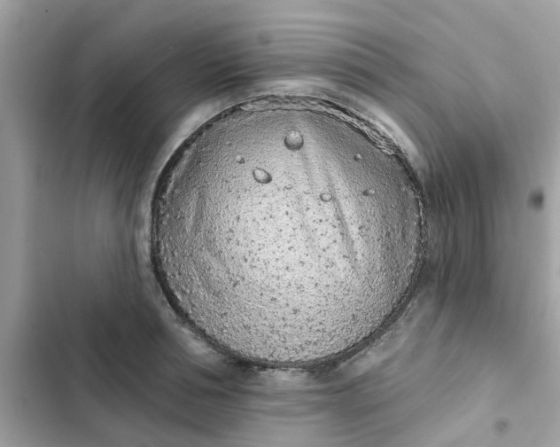 X0000102360994200808151809