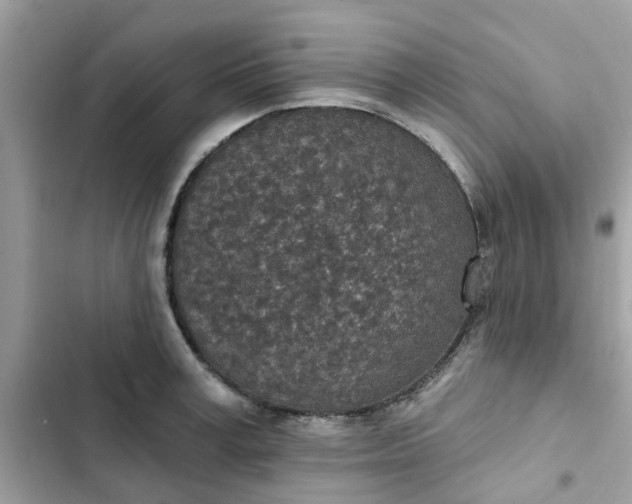 X0000102360995200808151809