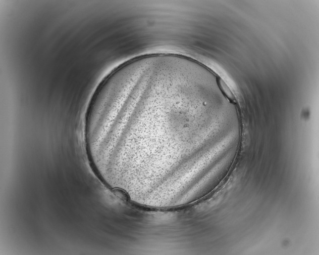 X0000102360996200808151809