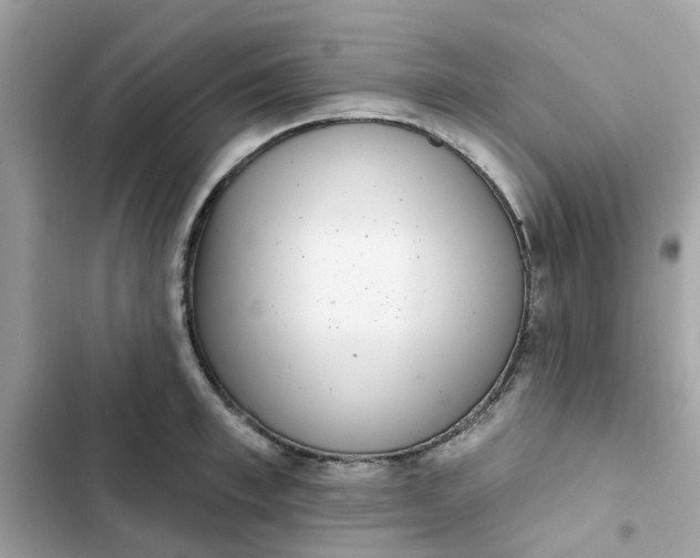 X0000102360997200808151809