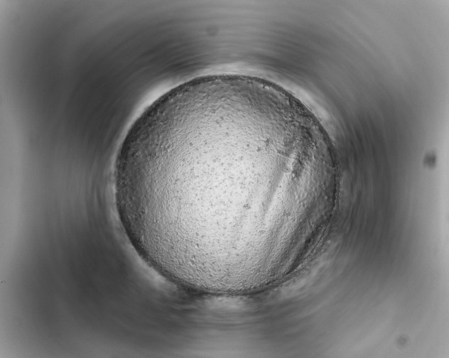 X0000102360998200808151809