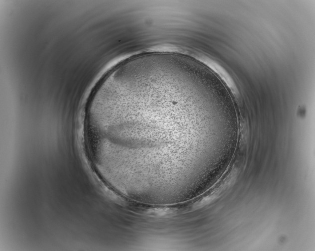 X0000102361000200808151809