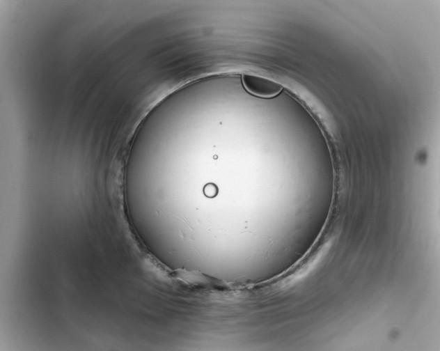 X0000102361001200808151809