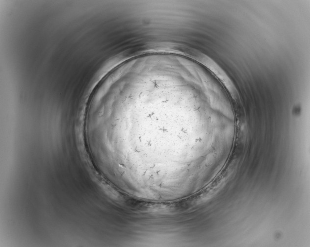 X0000102361002200808151809