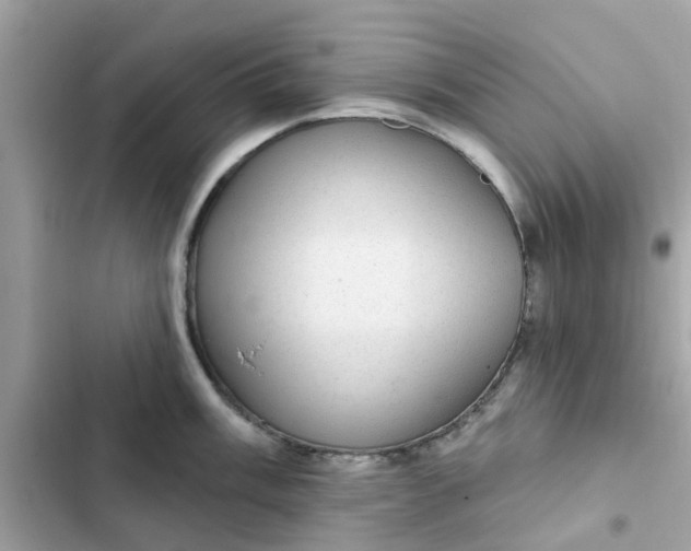 X0000102361003200808151809