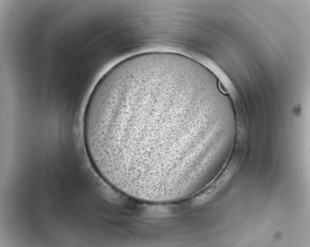 X0000102361004200808151809