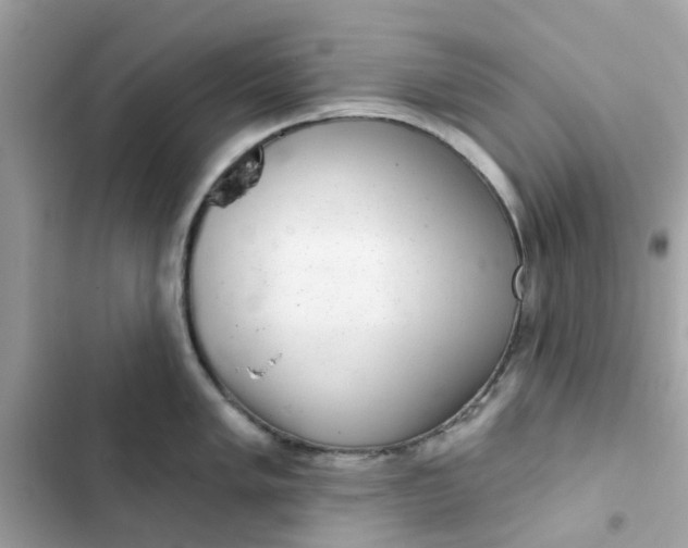 X0000102361005200808151809