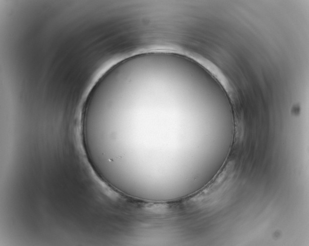 X0000102361006200808151809