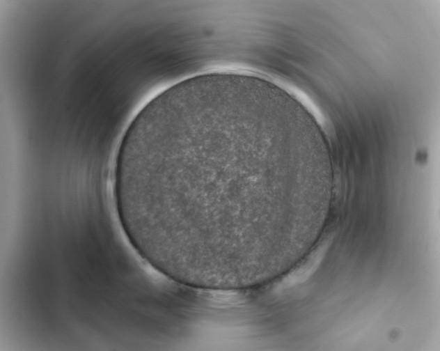 X0000102361007200808151809