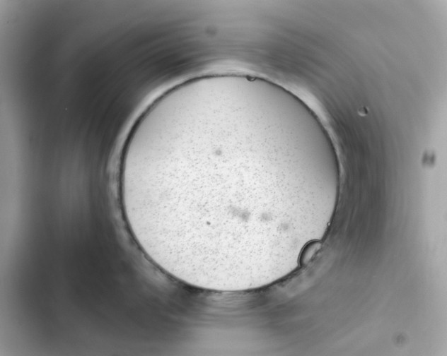 X0000102361008200808151809