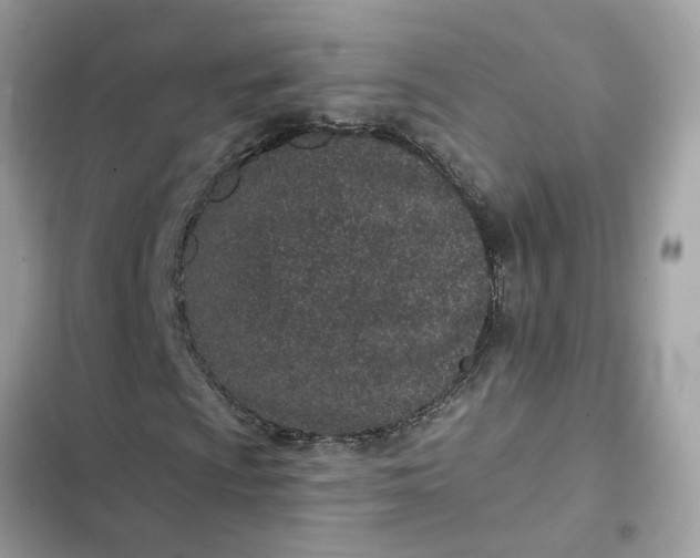 X0000102361009200808151808