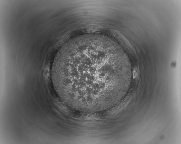 X0000102361011200808151808