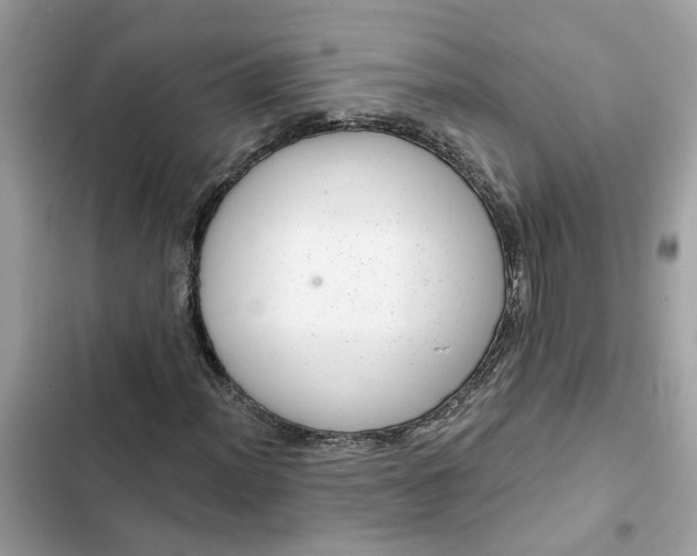 X0000102361012200808151808