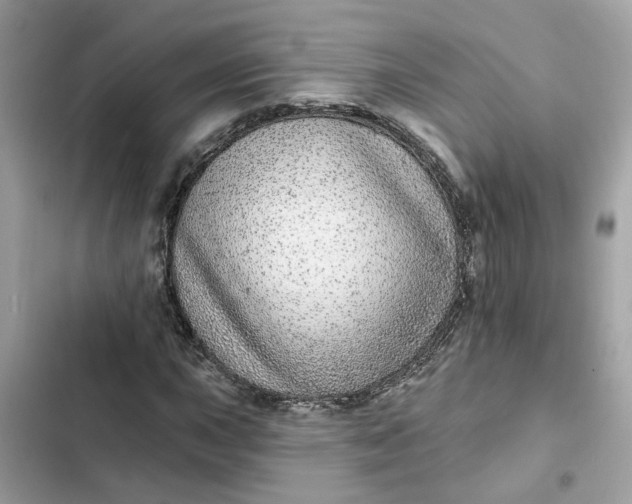 X0000102361015200808151808