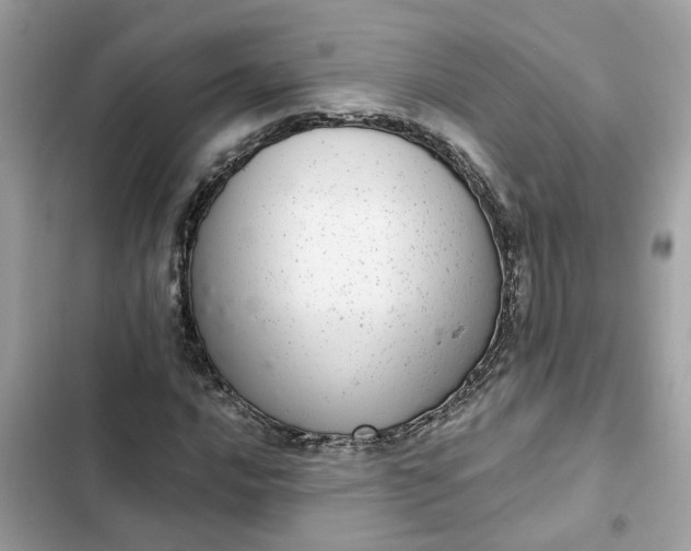 X0000102361016200808151808