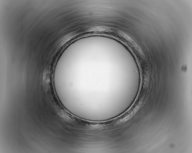 X0000102361017200808151808