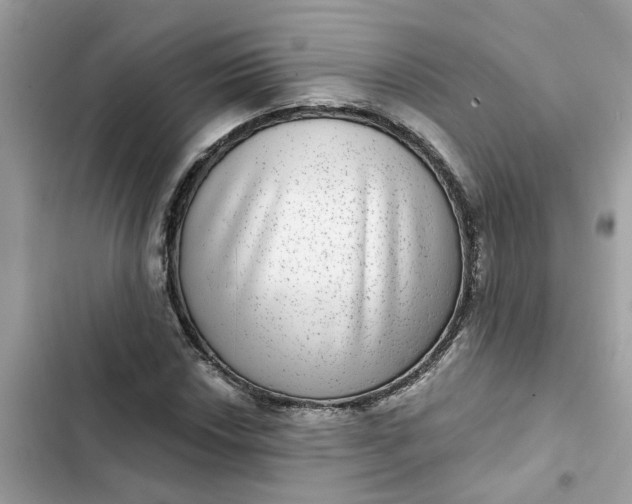 X0000102361018200808151808