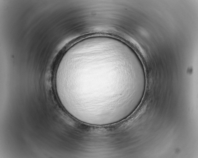 X0000102361019200808151808