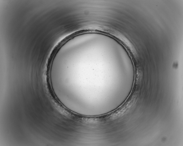 X0000102361020200808151808