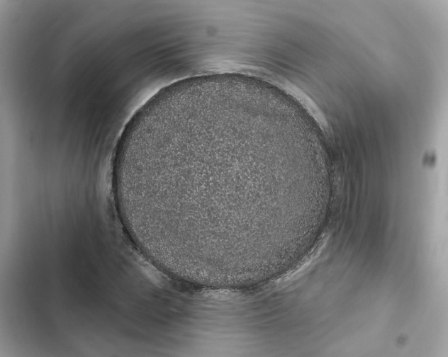 X0000102361023200808151808