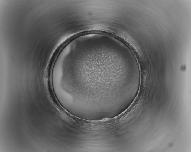 X0000102361024200808151808