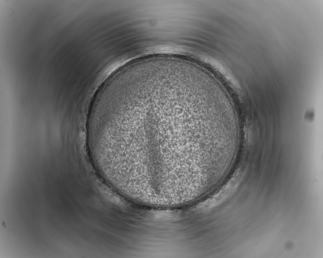 X0000102361025200808151808