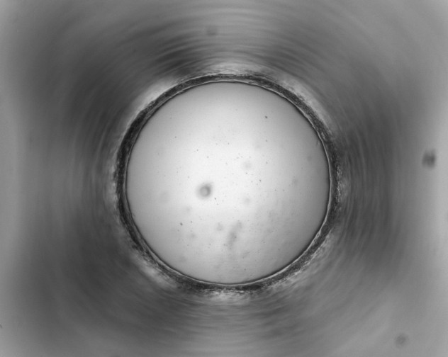 X0000102361026200808151808