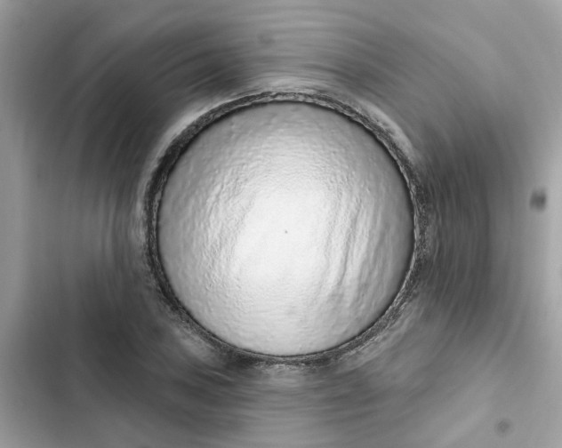 X0000102361027200808151808