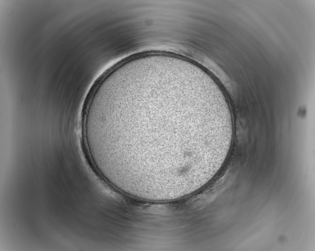 X0000102361028200808151808