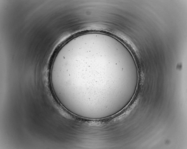 X0000102361029200808151808