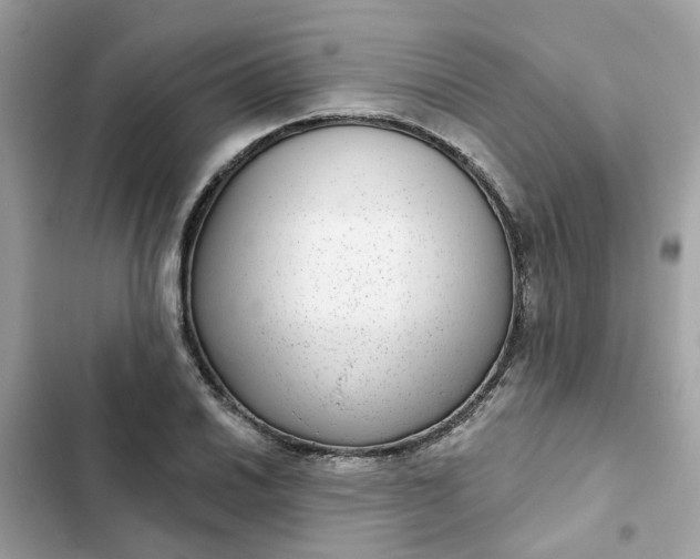 X0000102361030200808151808