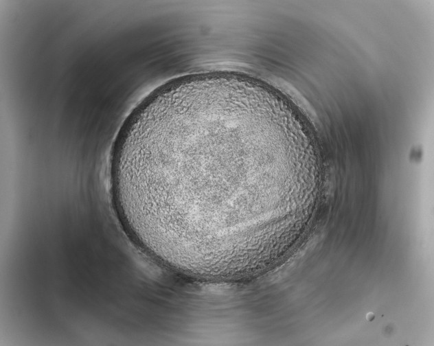 X0000102361031200808151808