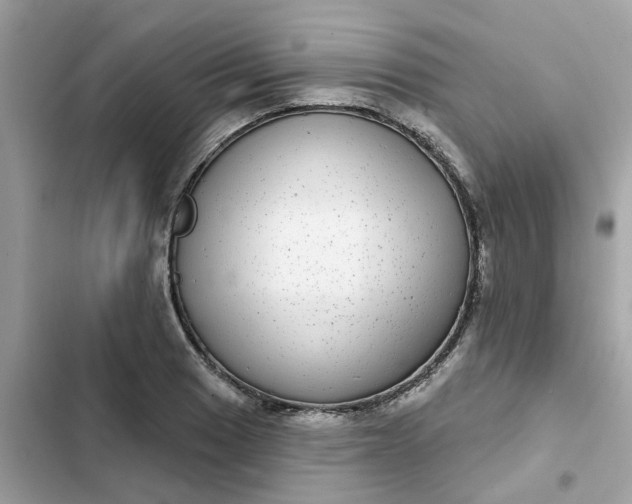 X0000102361033200808151808