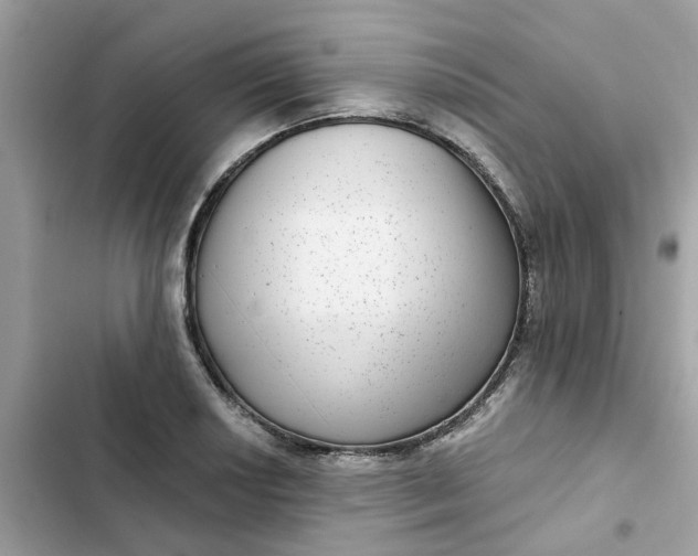 X0000102361034200808151808