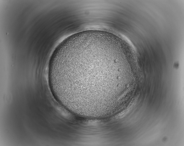 X0000102361035200808151808