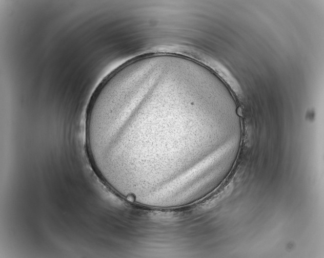 X0000102361036200808151808