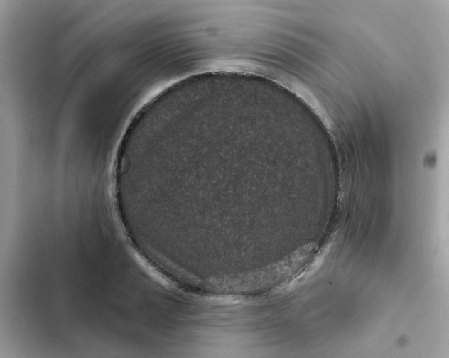 X0000102361037200808151808