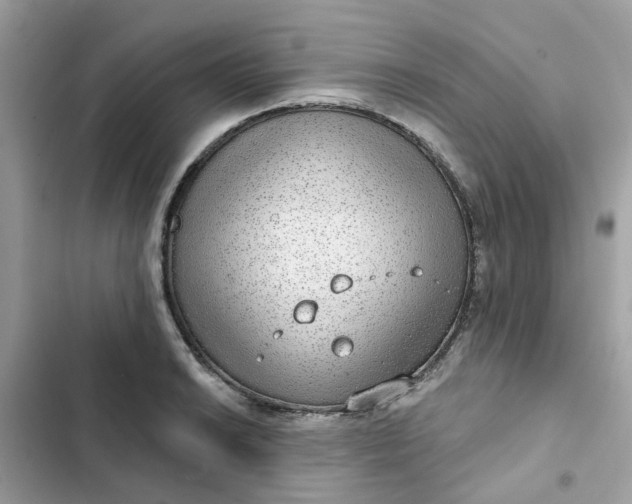 X0000102361038200808151808