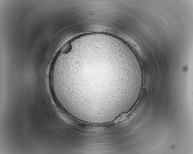 X0000102361039200808151808