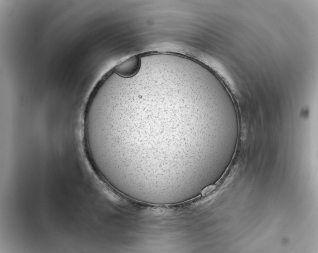 X0000102361040200808151808