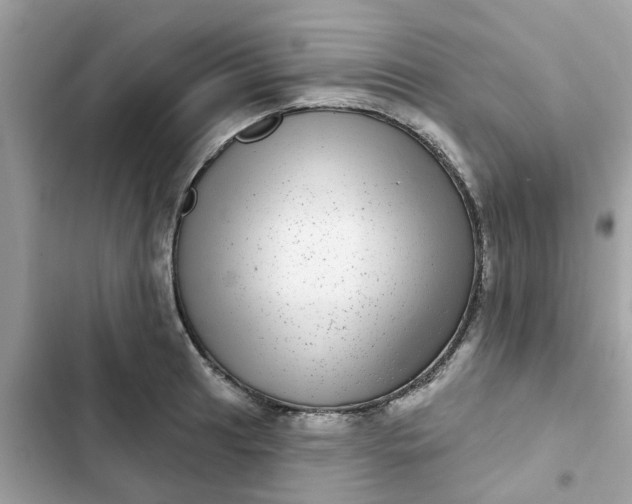 X0000102361041200808151808