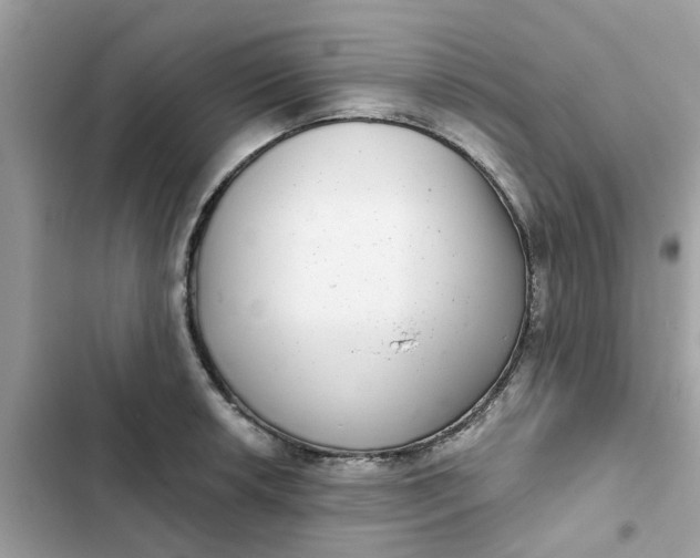 X0000102361042200808151808