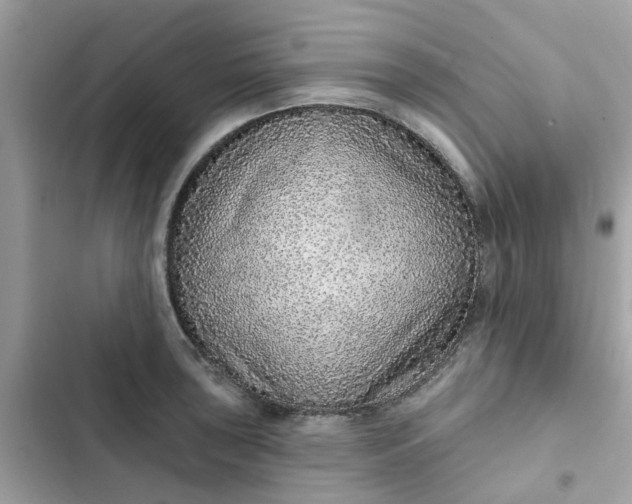 X0000102361043200808151808