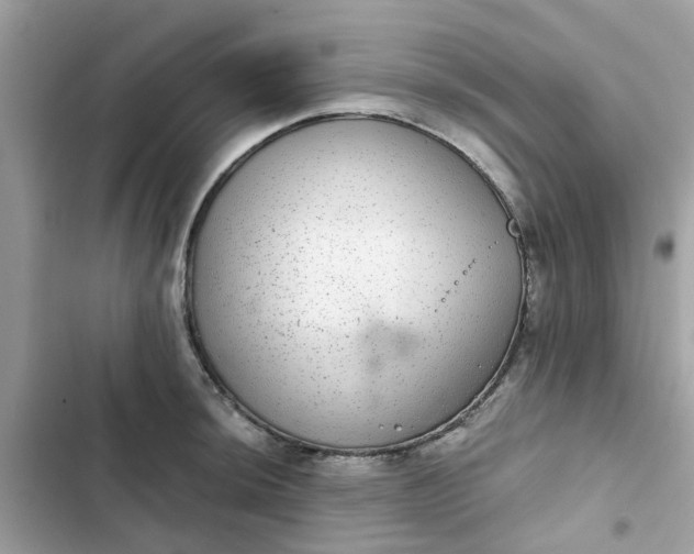 X0000102361044200808151808