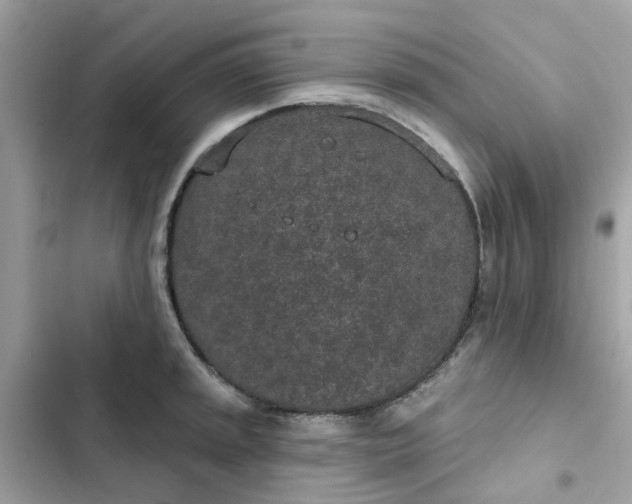 X0000102361045200808151808