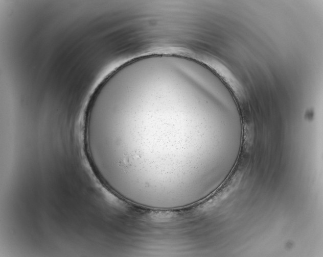 X0000102361046200808151808